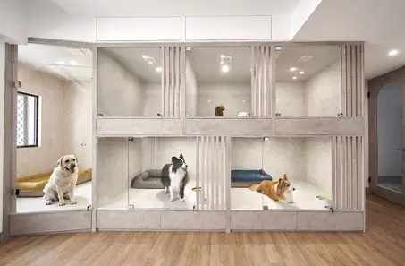 台中寵物住宿不關籠