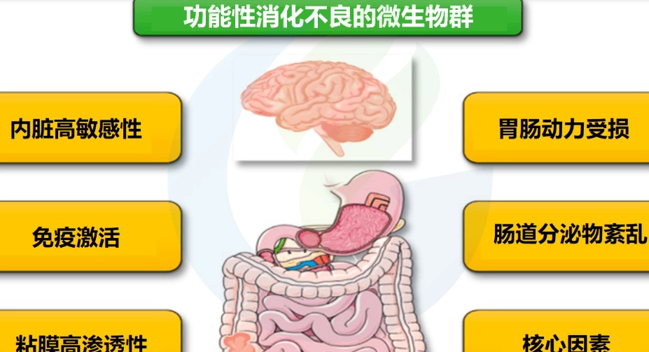 消化不良症狀 消化不良症狀