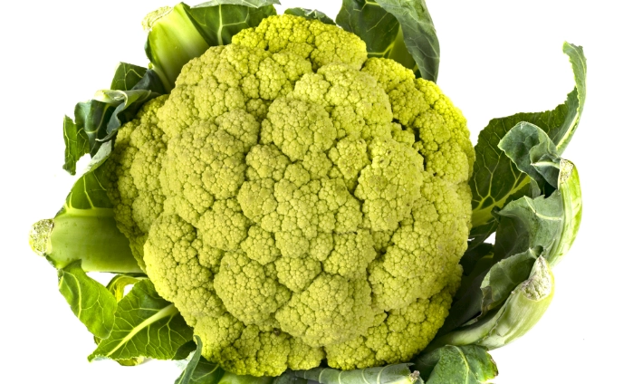 黑眼圈飲食 黑眼圈飲食