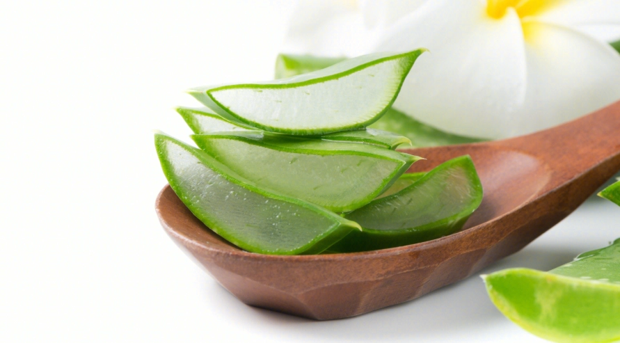 蚊子叮咬止癢 蚊子叮咬止癢