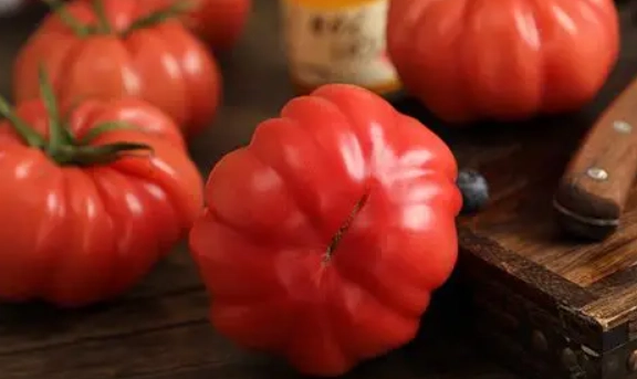 牛番茄病蟲害防治