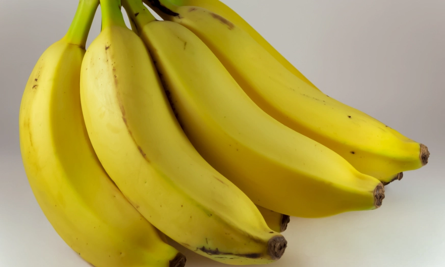 酒精性胃炎 治療