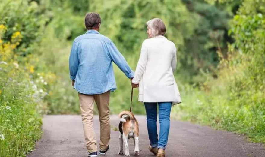 飯後胃痛想吐 飯後胃痛想吐