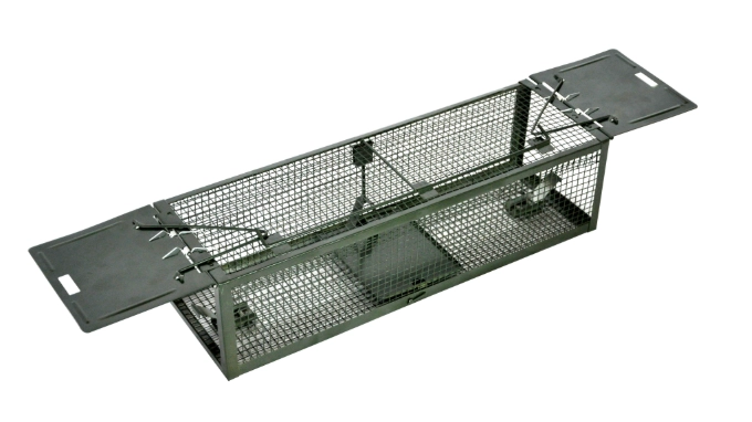 居家老鼠問題解決