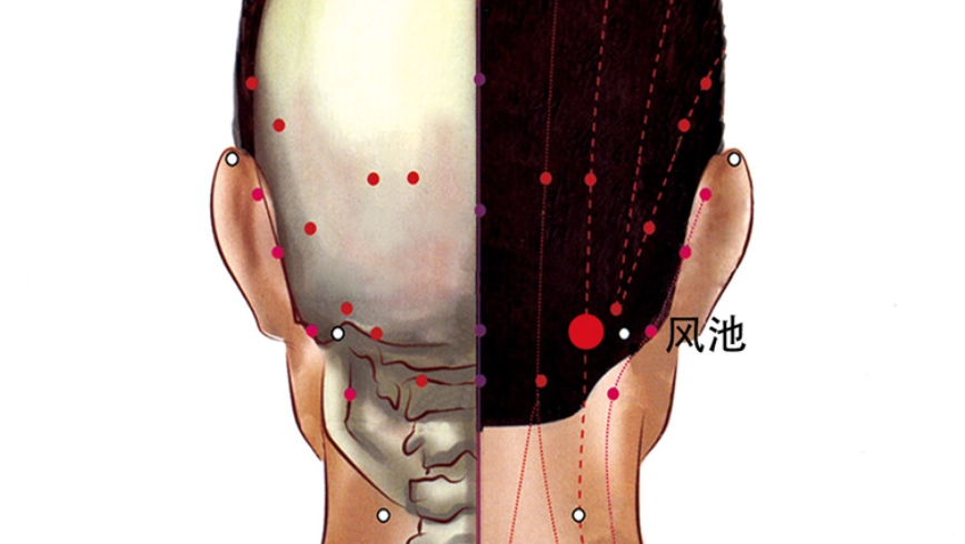 耳鳴緩解方法 耳鳴緩解方法