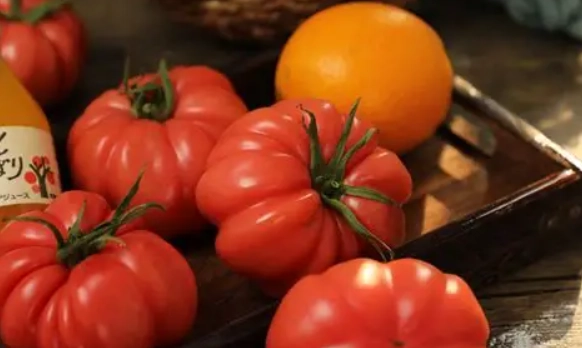 牛番茄施肥方法