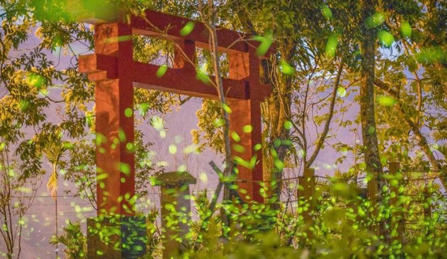 那瑪夏景點推薦