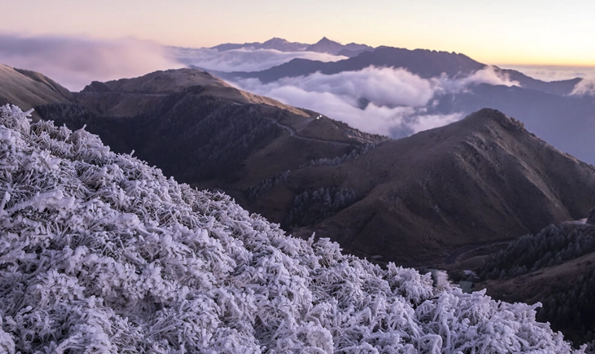 合歡山東峰登山攻略 合歡山東峰登山攻略