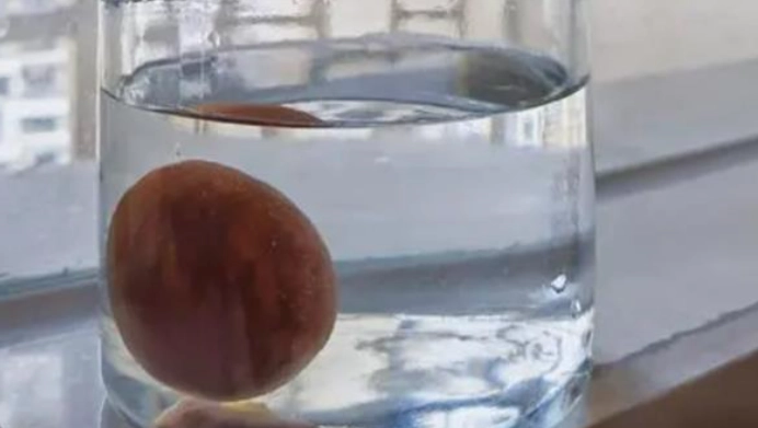 牛油果保存方法