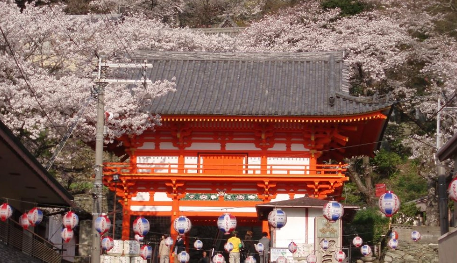 關西廣域鐵路周遊券