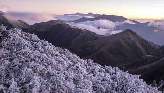合歡山 住宿 推薦