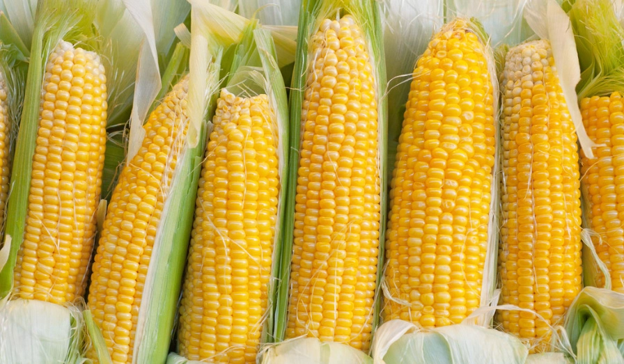 嚴重脂肪肝症狀