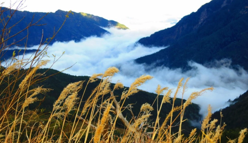 合歡山東峰難度 合歡山東峰難度