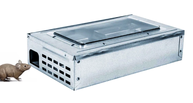 捉老鼠的好方法