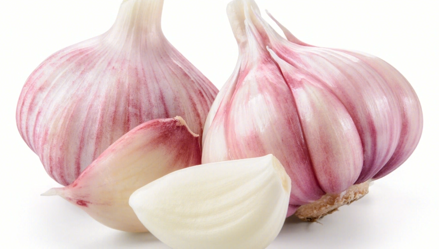 蒜頭發芽能吃嗎