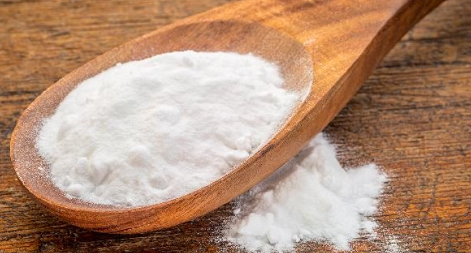 園藝工具保養 園藝工具保養