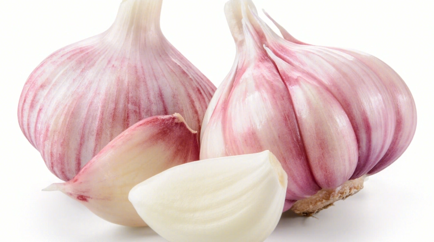 蒜頭髮芽可以吃嗎 蒜頭髮芽可以吃嗎