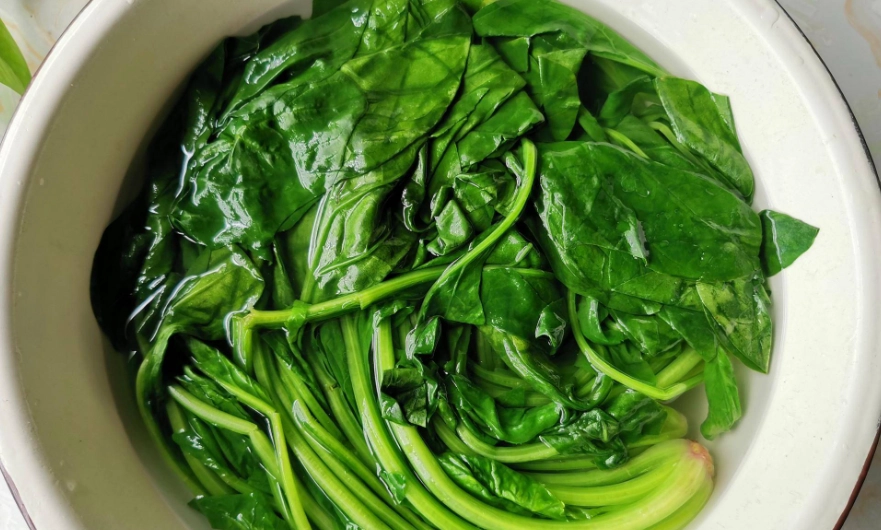 青少年增高飲食 青少年增高飲食