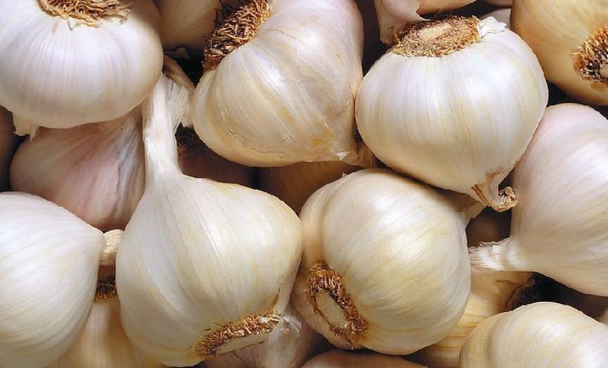 蒜頭吃太多壞處