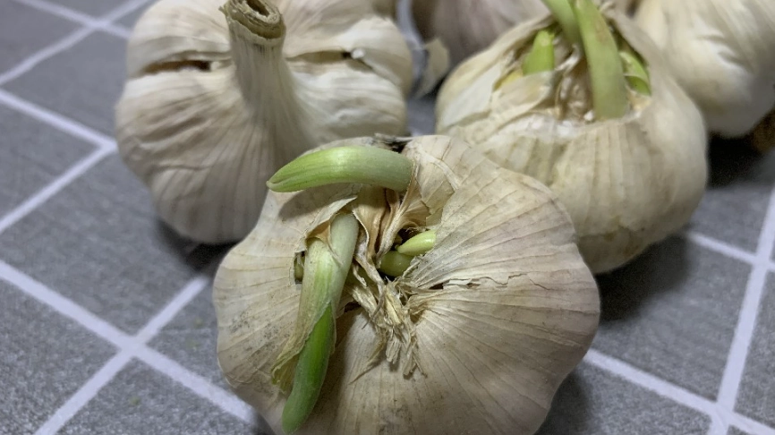 蒜頭保存方法 蒜頭保存方法