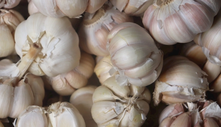 大蒜乾燥技巧