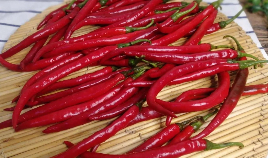 辣椒保存