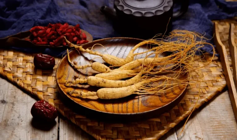 什麼人不能喝養氣人蔘