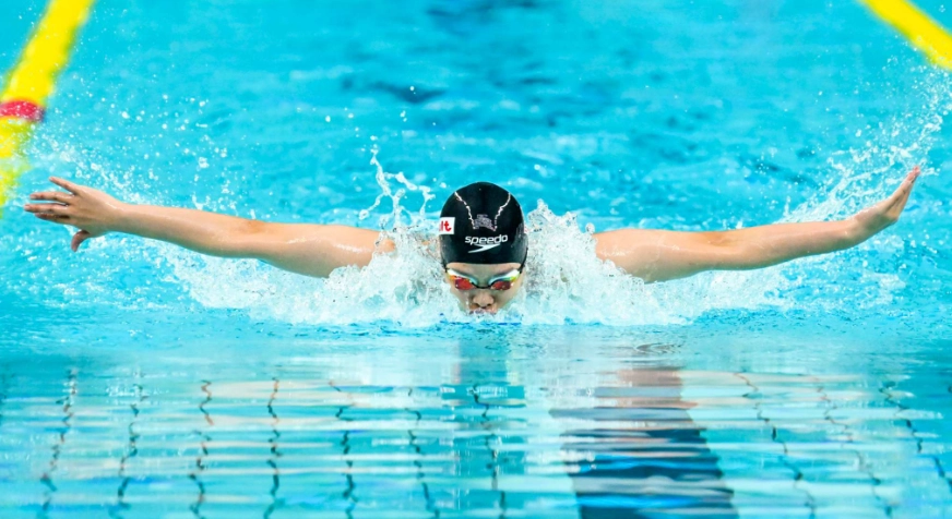 脂肪肝中藥方 脂肪肝中藥方