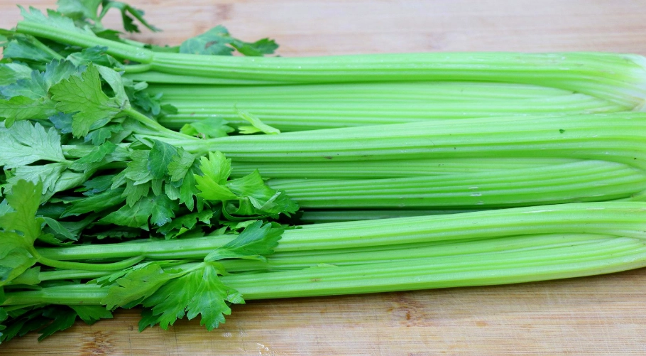 脂肪肝中藥調理