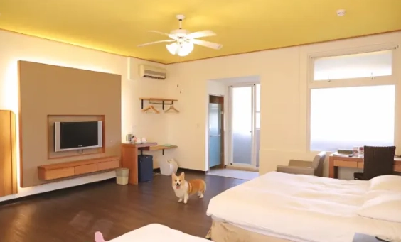 台中寵物友善住宿評分最高