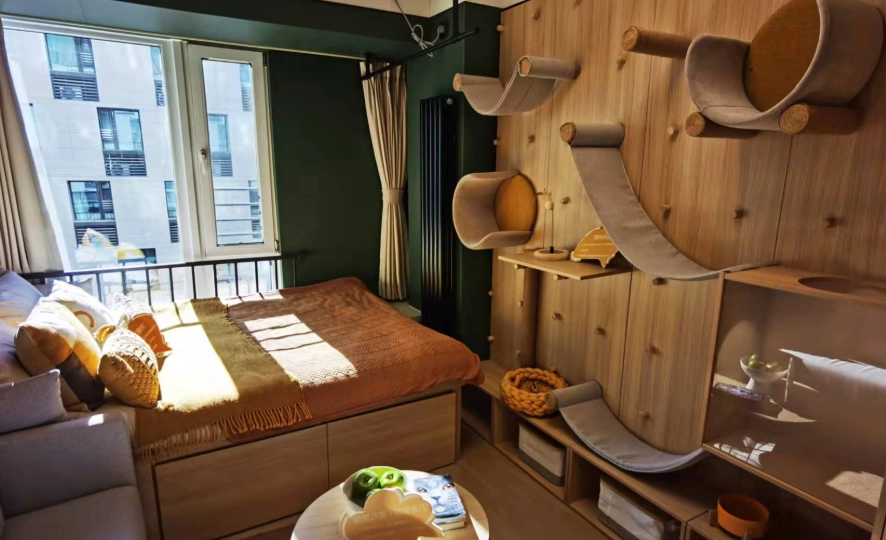 新北寵物友善住宿推薦｜毛孩家長必收的安心旅宿清單