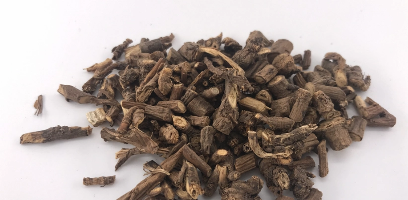 脂肪肝中醫治療與調理完整指南：從根本改善肝臟健康的實用方法