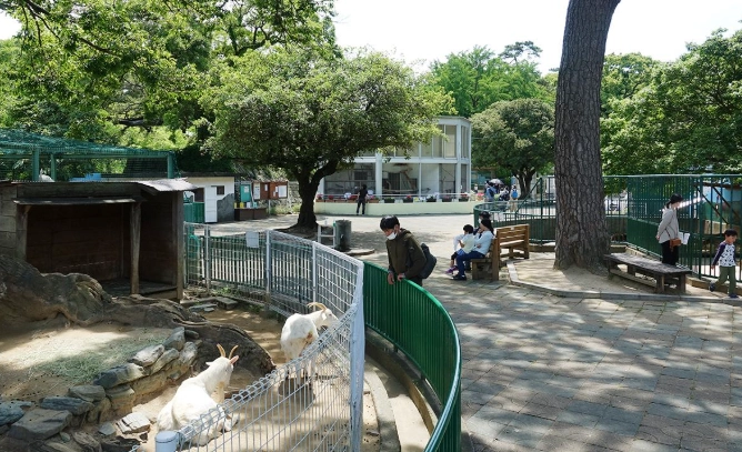 和歌山公園動物園