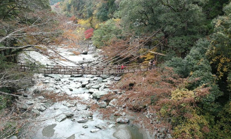 祖谷溪吊橋旅遊全攻略：交通、景點、門票資訊一次看懂