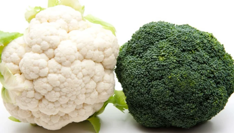 花椰菜青花菜差別