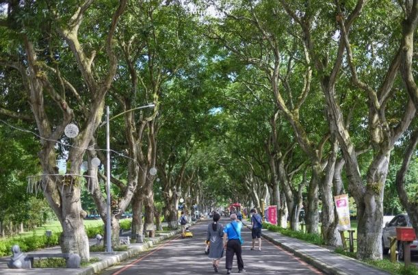 雲林適合老人的景點