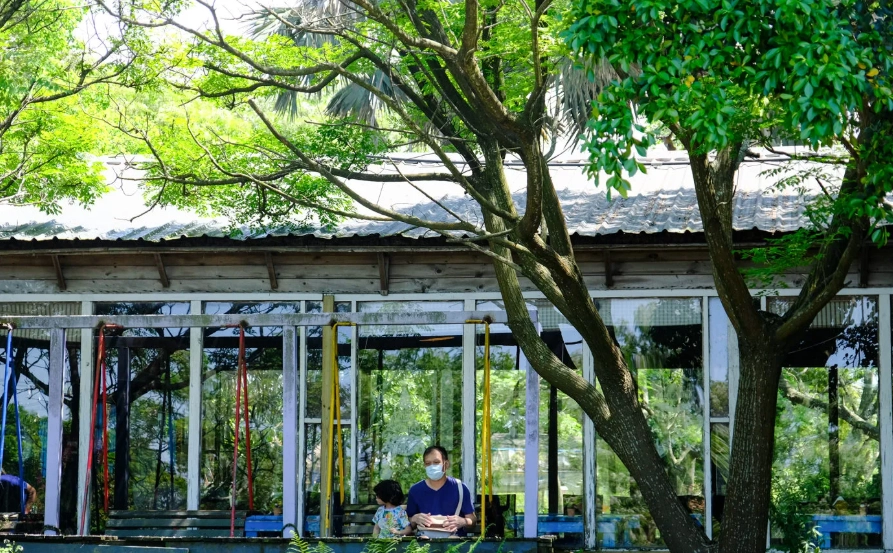 桃園農場DIY體驗全攻略：親子行程規劃、費用比較與隱藏景點推薦