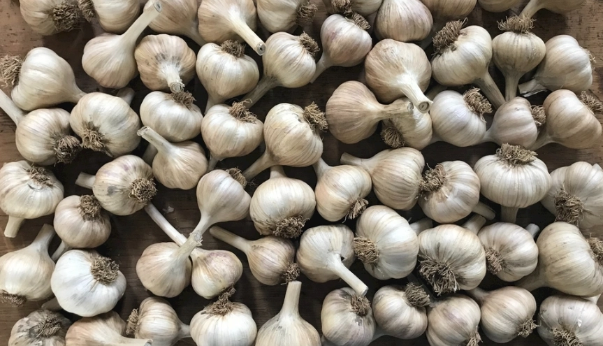 乾燥蒜頭終極指南：用法、選購技巧與新手常犯的三大錯誤