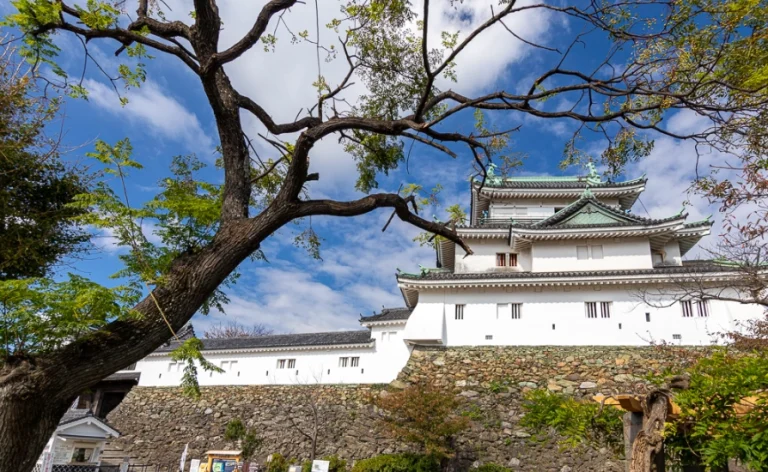 大阪去和歌山一日遊