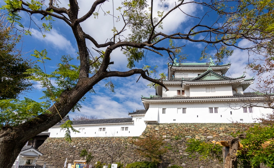 大阪去和歌山一日遊完整攻略：交通、景點、美食懶人包