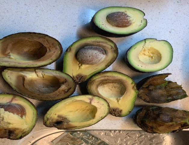 酪梨壞掉長怎樣