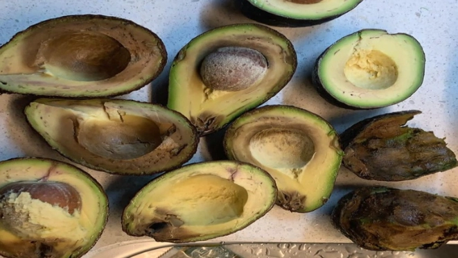 酪梨壞掉的樣子