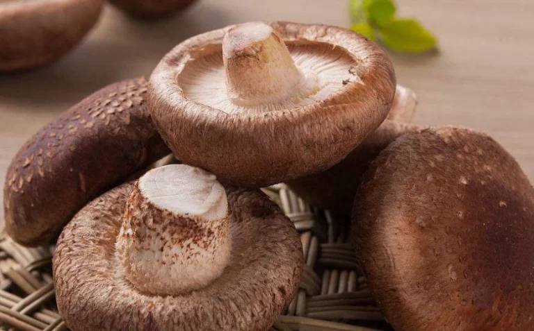 小朋友增高湯水