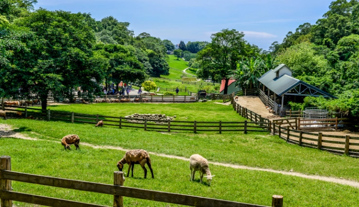 台灣休閒農場推薦