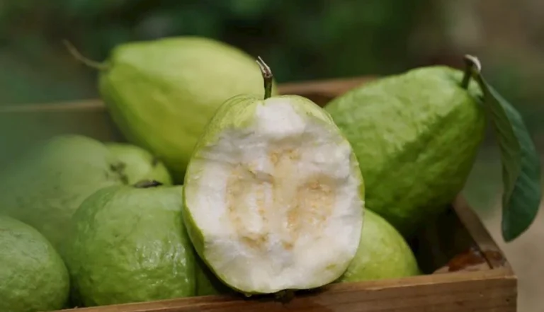 淡斑方法不用花錢