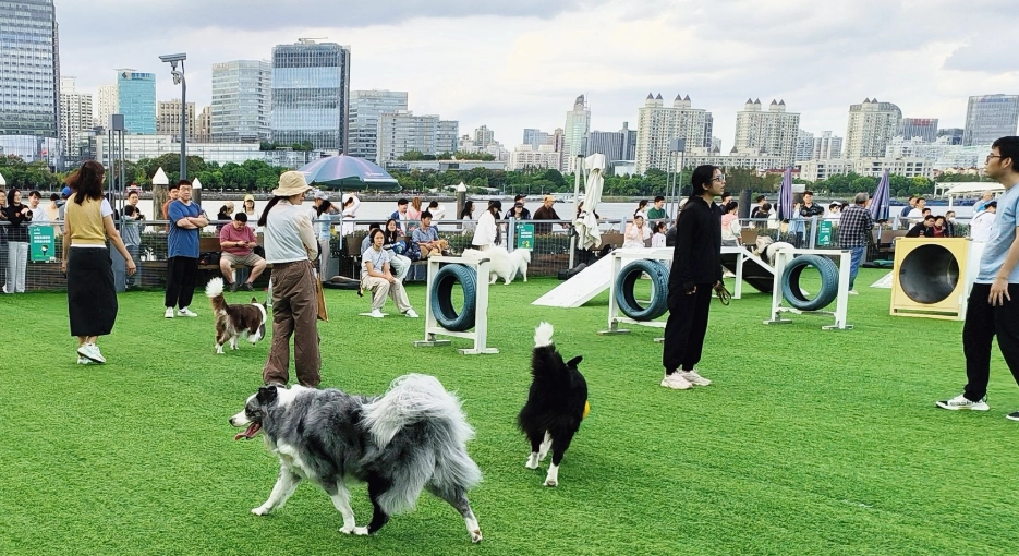 新竹戶外親子景點推薦｜免費公園、農場、森林步道一次收錄