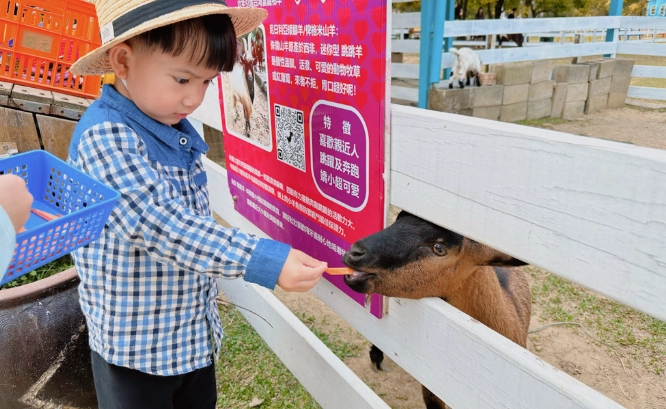 桃園農場餵動物