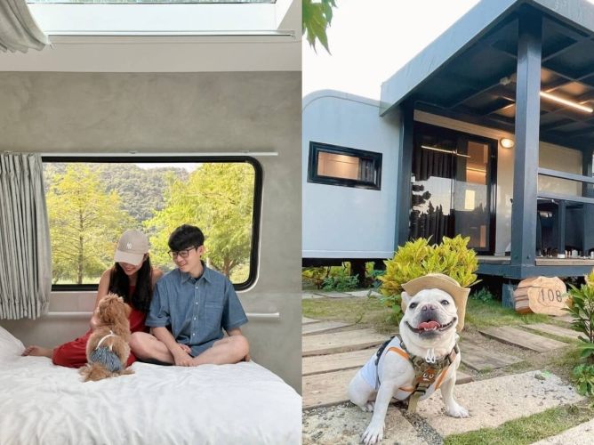 全台寵物友善懶人露營