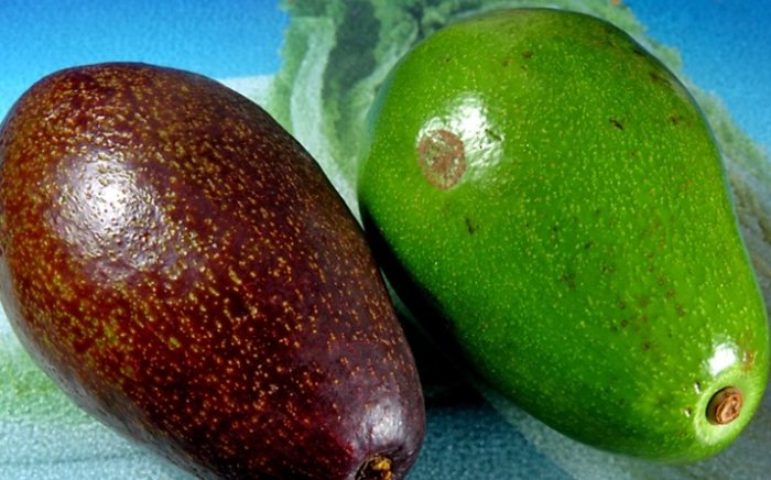 酪梨怎麼挑才好吃