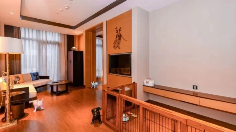 彰化寵物兩天一夜